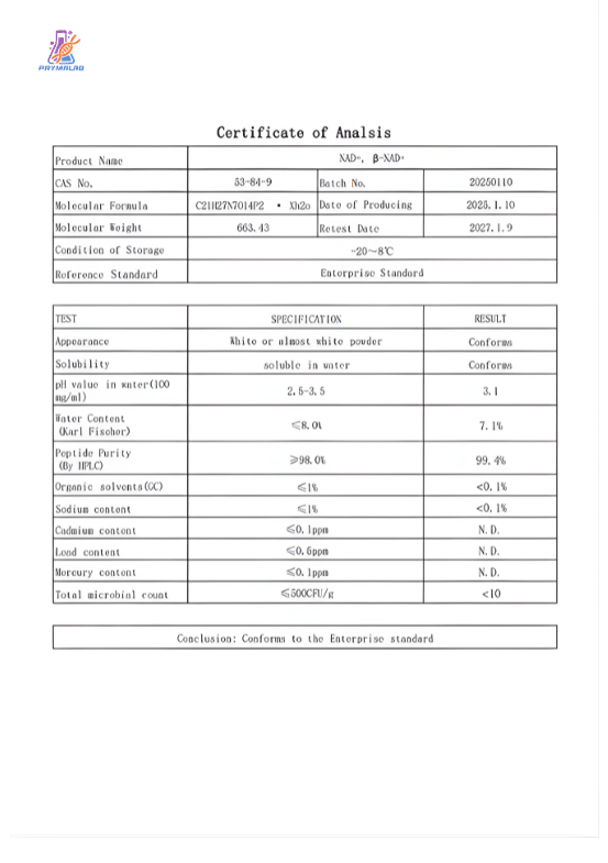 NAD+ 1000mg COA (Certificate of Analysis) validating research‑grade nicotinamide adenine dinucleotide via LC‑MS identity and HPLC purity results