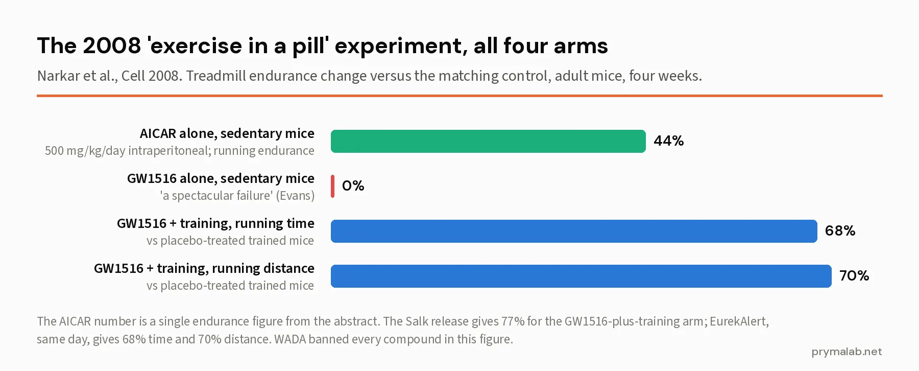 Bar chart of the four arms of the 2008 Cell exercise-mimetic study: AICAR alone raised running endurance 44 percent in sedentary mice, GW1516 alone produced no benefit, and GW1516 with training raised running time 68 percent and distance 70 percent