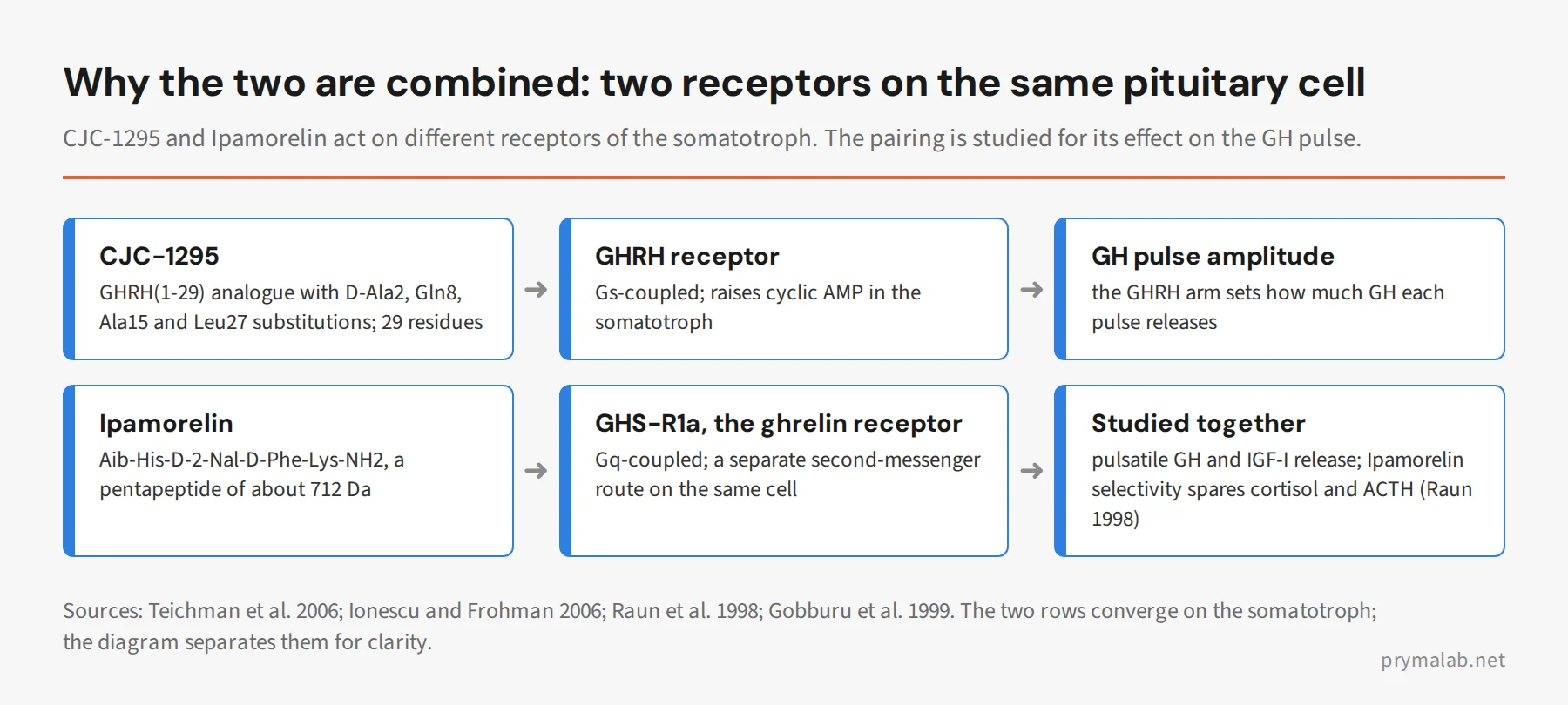 Diagram of why CJC-1295 and Ipamorelin are combined: CJC-1295 acts on the GHRH receptor and Ipamorelin on the ghrelin receptor GHS-R1a, two separate routes on the same pituitary somatotroph