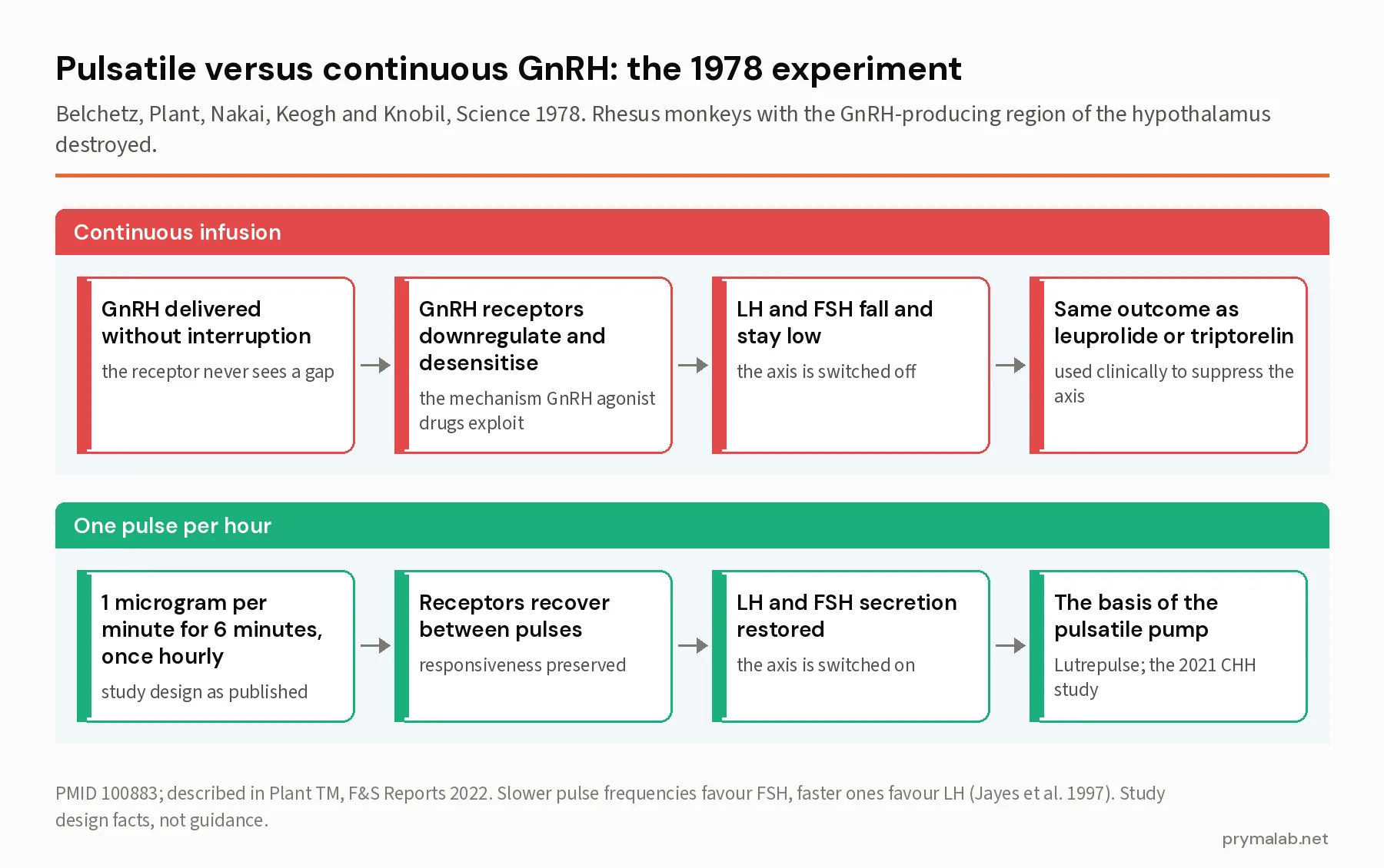 Two-panel diagram contrasting continuous GnRH infusion, which desensitises the receptor and suppresses LH and FSH, against one pulse per hour, which restores LH and FSH secretion, from the 1978 Science experiment in rhesus monkeys
