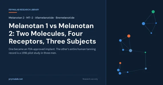 Melanotan 1 vs 2 featured image.