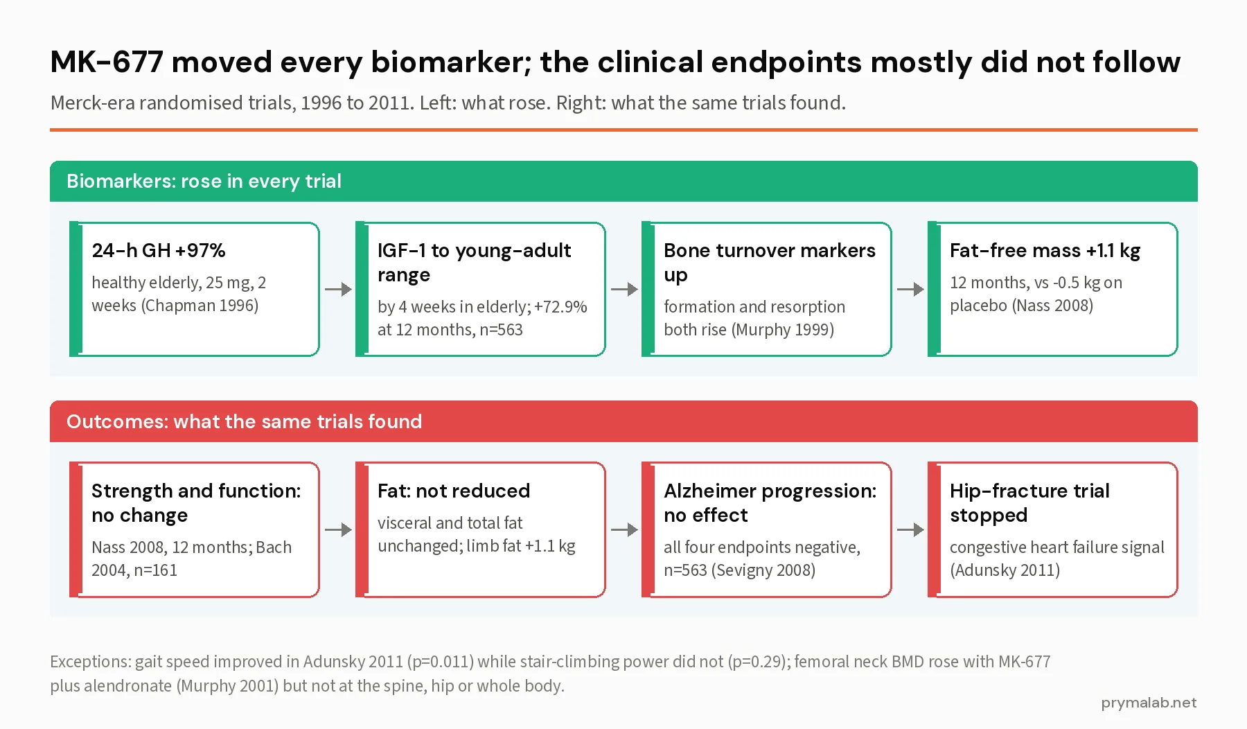 Two-panel diagram of MK-677 trial results: GH, IGF-1, bone turnover and fat-free mass rose, while strength, function, fat mass and Alzheimer progression did not improve