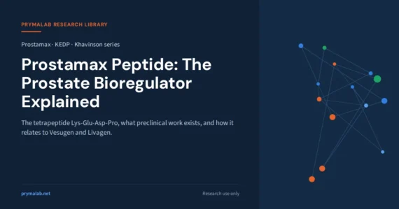 Prostamax peptide cover: the prostate bioregulator explained