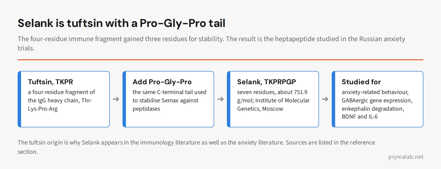 Flow diagram showing Selank's origin: the tuftsin fragment TKPR gains a Pro-Gly-Pro tail to become the heptapeptide TKPRPGP studied for anxiety-related behaviour and immune markers
