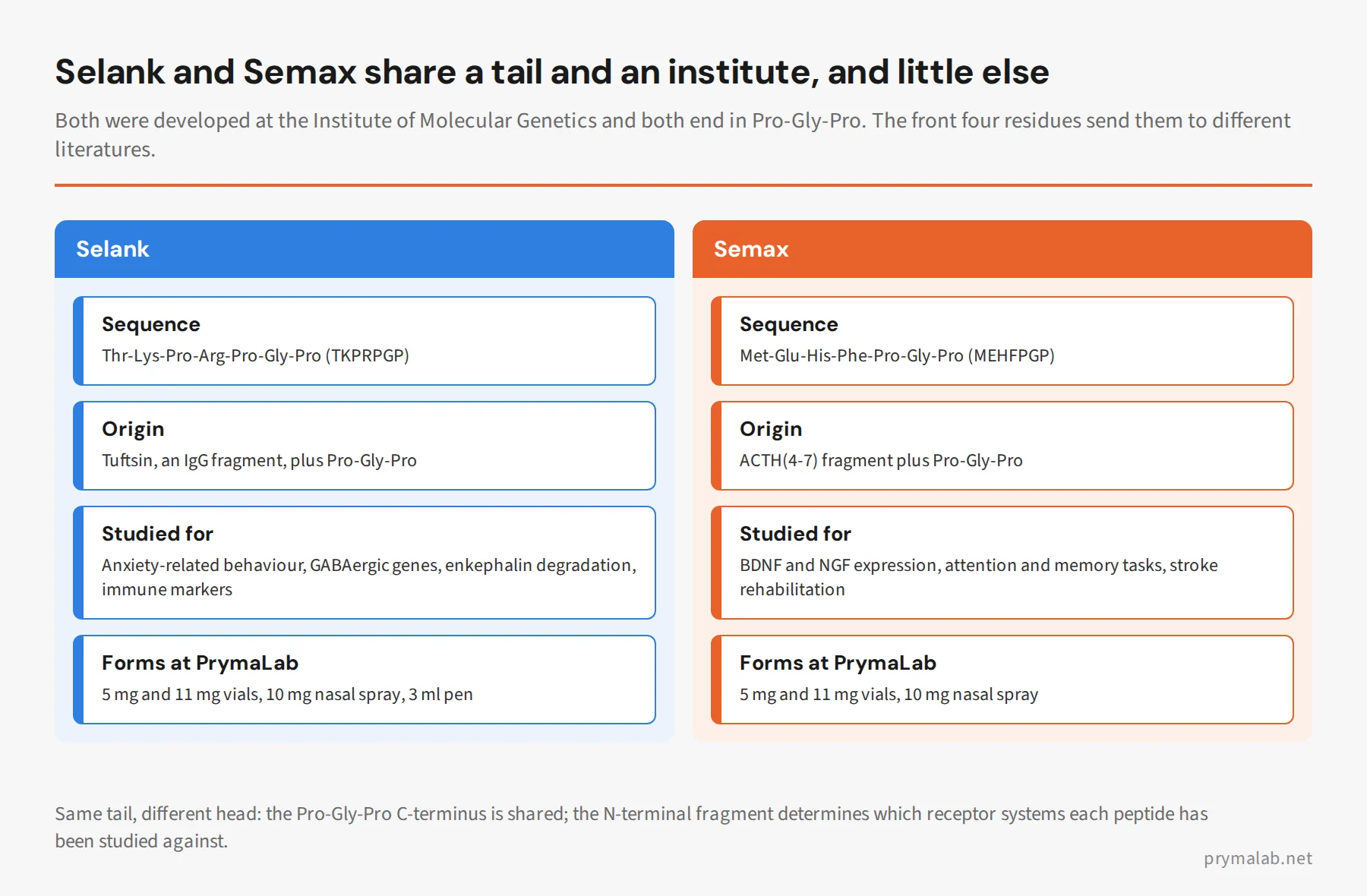 Two-panel comparison of Selank and Semax: sequences TKPRPGP and MEHFPGP, tuftsin versus ACTH(4-7) origin, what each is studied for, and forms at PrymaLab