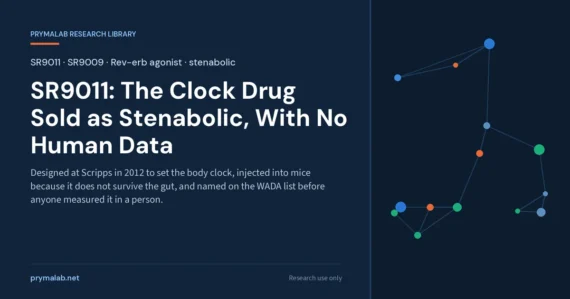SR9011 research library featured image: designed at Scripps in 2012 to set the body clock, injected into mice because it does not survive the gut, and named on the WADA list before anyone measured it in a person