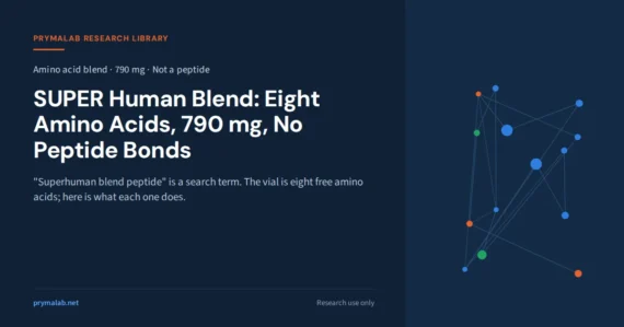 SUPER Human Blend cover: eight amino acids, 790 mg, no peptide bonds