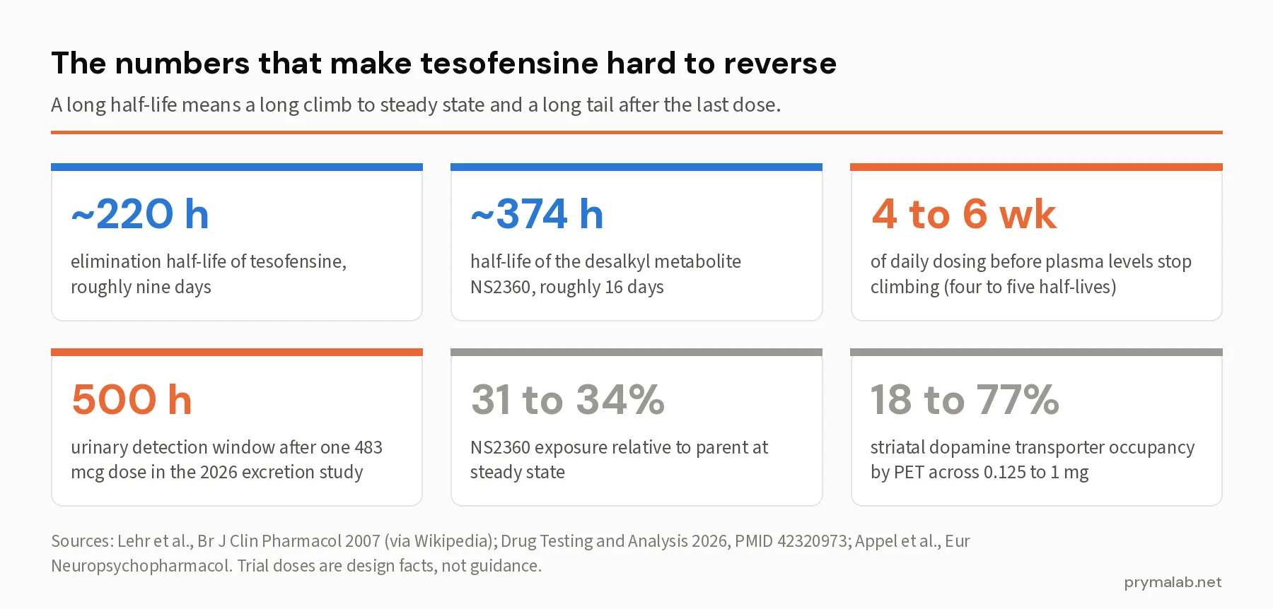 Six statistic cards: 220 hour elimination half-life, 374 hour metabolite half-life, four to six weeks to steady state, 500 hour urinary detection window, 31 to 34 percent metabolite exposure, and 18 to 77 percent dopamine transporter occupancy