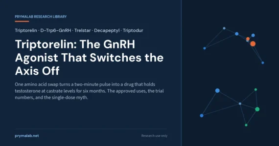 Triptorelin research library featured image: one amino acid swap turns a two-minute GnRH pulse into a drug that holds testosterone at castrate levels for six months; the approved uses, the trial numbers and the single-dose myth