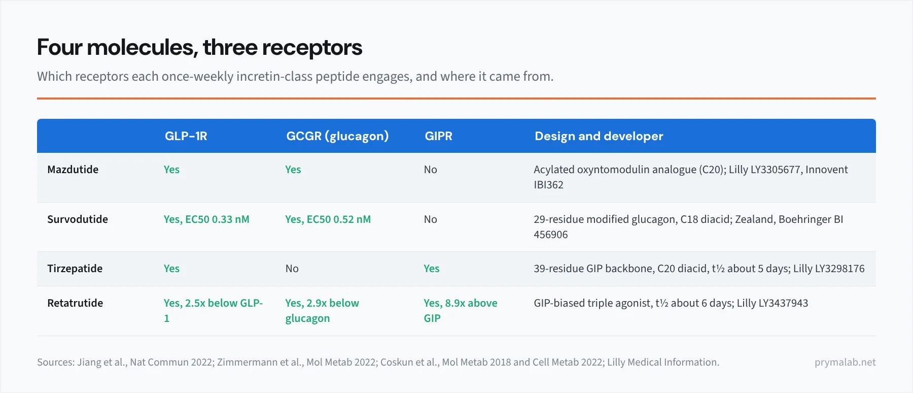 Comparison table image of four incretin-class peptides by receptor. Rows: mazdutide, GLP-1 and glucagon receptors, oxyntomodulin analogue with C20 side chain; survodutide, GLP-1 and glucagon receptors, 29-residue modified glucagon with C18 diacid, EC50 0.33 and 0.52 nanomolar; tirzepatide, GLP-1 and GIP receptors, 39-residue GIP backbone, half-life about 5 days; retatrutide, GLP-1, GIP and glucagon receptors, GIP-biased triple agonist, half-life about 6 days. Columns mark each receptor as engaged or not, with a right-hand column giving the design origin and developer