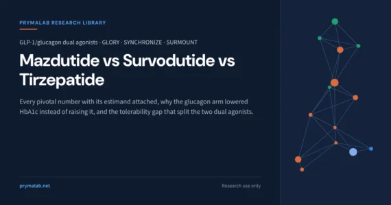 GLP-1 research library featured image comparing mazdutide, survodutide and tirzepatide: pivotal trial numbers with their estimands, the glucagon arm lowering HbA1c rather than raising it, and the tolerability gap between the two GLP-1/glucagon dual agonists