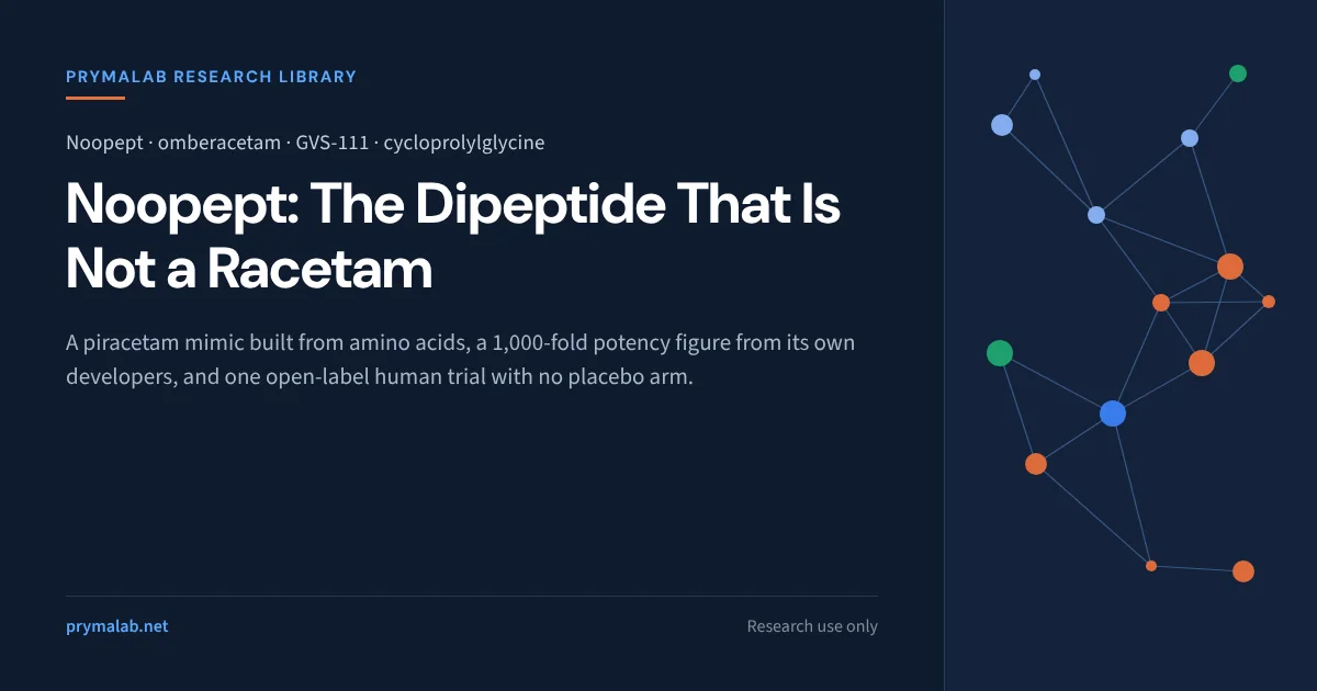 Noopept research library featured image: omberacetam is a phenylacetyl-prolyl-glycine dipeptide built to mimic piracetam, carries a 1,000-fold potency figure from its own developers, and has one open-label human trial with no placebo arm