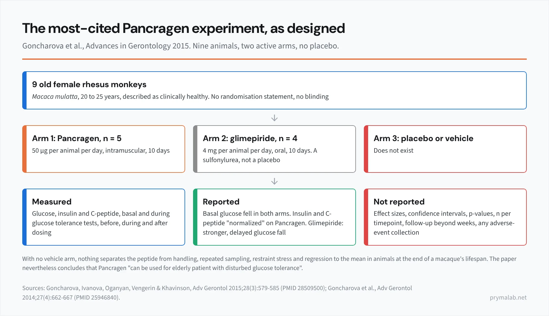 Study-design card for the 2015 Pancragen rhesus monkey study. Nine old female Macaca mulatta aged 20 to 25 years. Arm one: five animals, Pancragen intramuscularly for ten days. Arm two: four animals, oral glimepiride for ten days. Measured: glucose, insulin, C-peptide, basal and during glucose tolerance tests, before, during and after dosing. Reported: basal glucose fell in both arms; insulin and C-peptide described as normalised on Pancragen. A third card for a placebo or vehicle arm reads: does not exist. Not reported: effect sizes, confidence intervals, p-values, n per timepoint, follow-up beyond weeks, any adverse-event collection. The top card notes no randomisation statement and no blinding