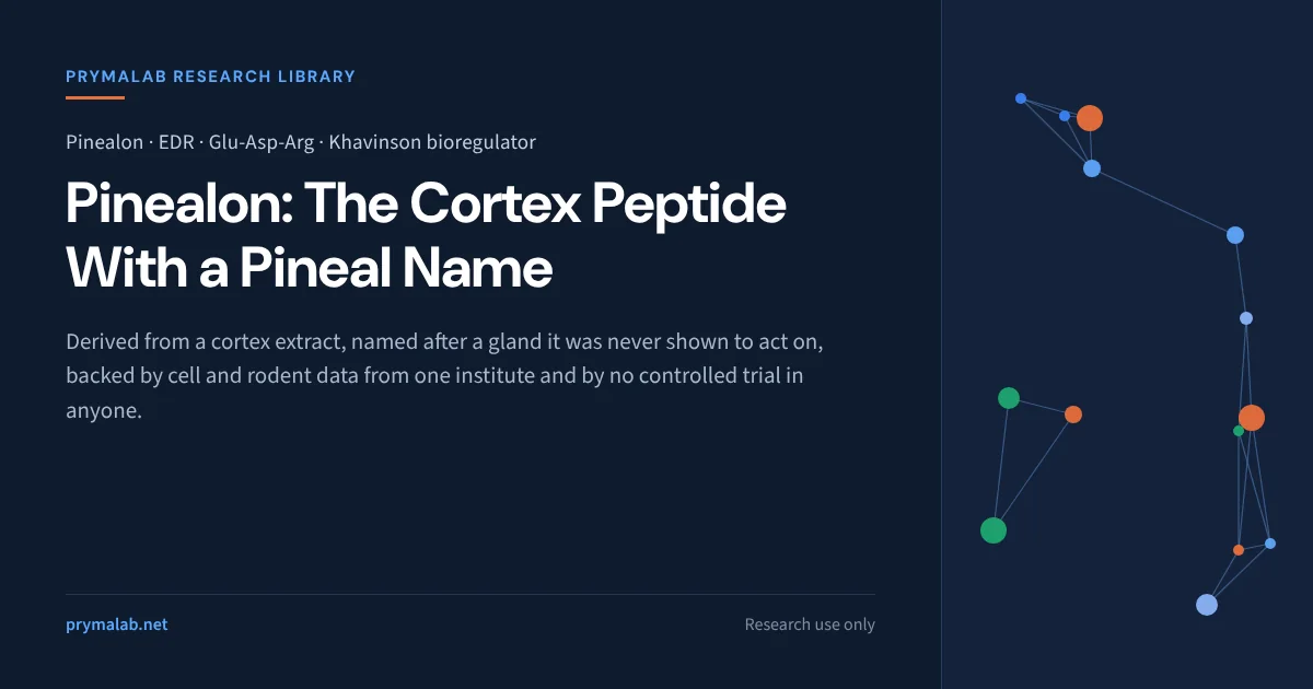 Pinealon research library featured image: the Khavinson tripeptide Glu-Asp-Arg was synthesized from a cortex extract, named after the pineal gland it was never shown to act on, and has cell and rodent data from one institute and no controlled human trial
