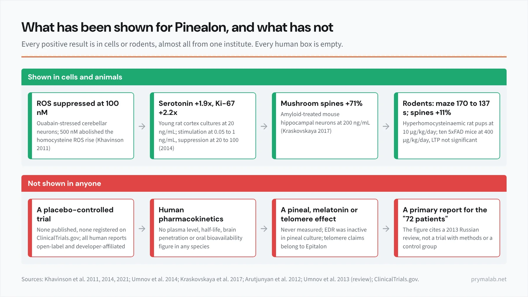 Two-panel diagram contrasting what has been shown for Pinealon in cells and animals, including ROS suppression at 100 nanomolar, serotonin and Ki-67 increases in cortex cultures, 71 percent more mushroom spines in an amyloid model, maze-learning rescue in rat pups and 11 percent higher spine density in 5xFAD mice, against what has not been shown in anyone: a placebo-controlled trial, a registered trial, human pharmacokinetics, a melatonin or telomere effect, and a primary report for the 72-patient figure
