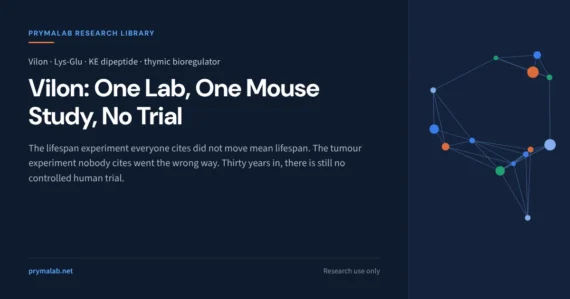 Vilon research library featured image: the Lys-Glu dipeptide from the Khavinson laboratory, whose single lifespan experiment did not change mean lifespan in mice and whose developers reported faster, more frequent mammary tumours in HER-2/neu transgenic mice, with no controlled human trial in thirty years