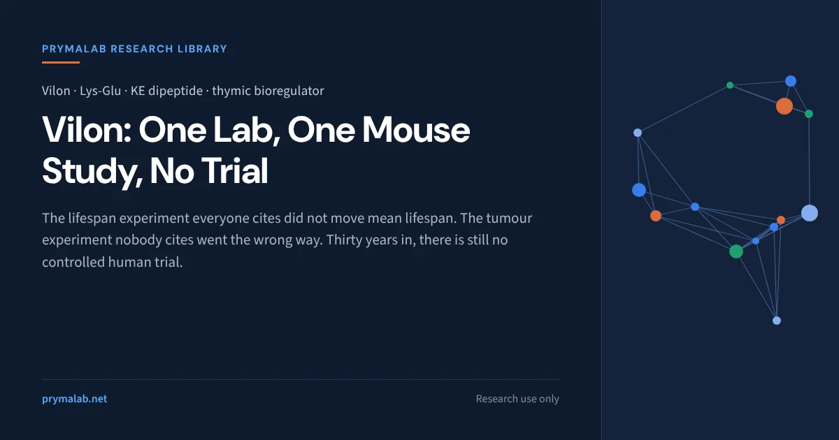 Vilon research library featured image: the Lys-Glu dipeptide from the Khavinson laboratory, whose single lifespan experiment did not change mean lifespan in mice and whose developers reported faster, more frequent mammary tumours in HER-2/neu transgenic mice, with no controlled human trial in thirty years