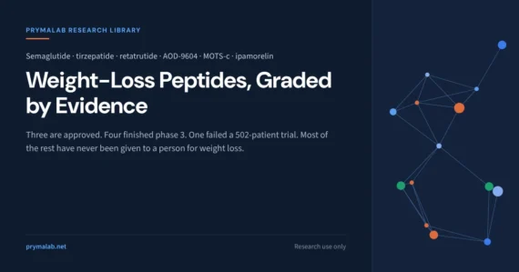 Peptides for weight loss research library featured image: the approved incretin drugs semaglutide, tirzepatide and liraglutide, the phase 3 agents retatrutide, survodutide, CagriSema and mazdutide, the failed AOD-9604 programme, and the compounds such as ipamorelin, GHRP-2, MOTS-c and 5-amino-1MQ that have never been tested for weight in a human