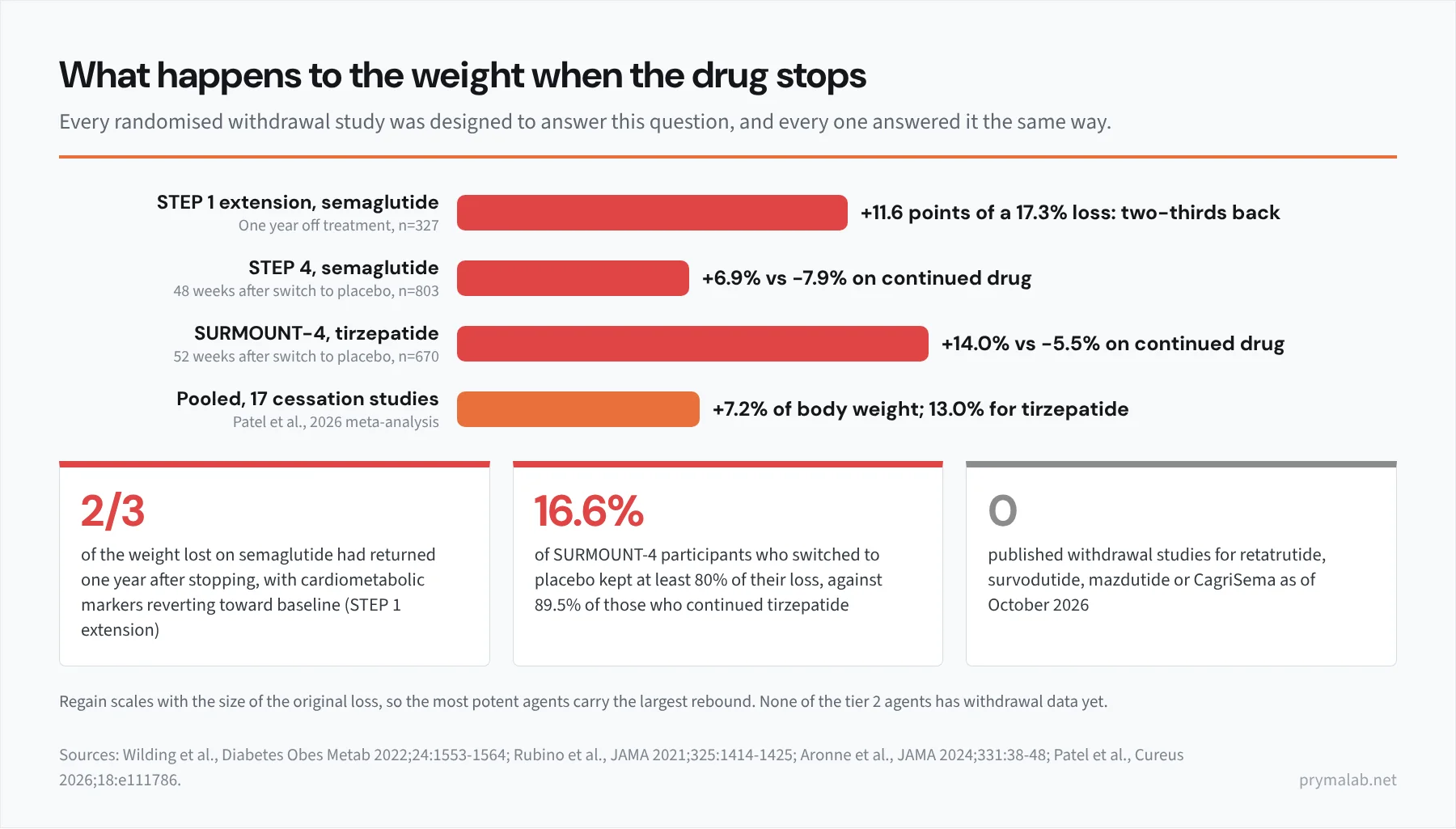 Bar chart of weight regain after stopping incretin peptides in randomised withdrawal studies. STEP 1 extension: 11.6 percentage points regained of a 17.3 percent loss one year after stopping semaglutide, two-thirds of the loss. STEP 4: plus 6.9 percent over 48 weeks after switching semaglutide to placebo, against minus 7.9 percent on continued treatment. SURMOUNT-4: plus 14.0 percent over 52 weeks after switching tirzepatide to placebo, against minus 5.5 percent on continued treatment. Pooled meta-analysis of 17 cessation studies: 7.2 percent of body weight regained, 13.0 percent for tirzepatide. A note records that the regain scales with the size of the original loss